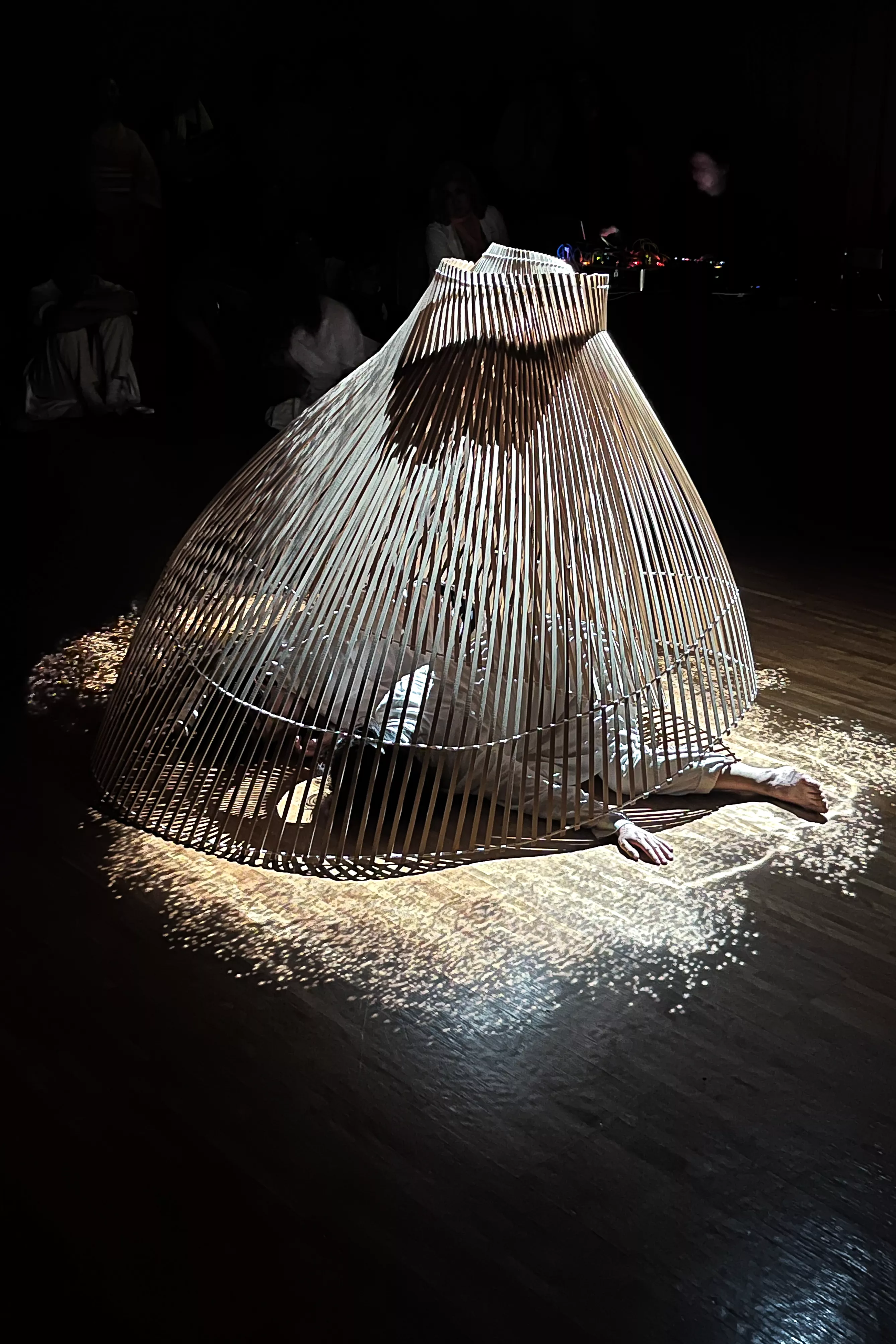 第一木曜日はヴィラ九条山へ: 6月6日のプログラム - ヴィラ九条山